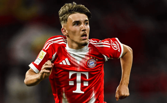 大脑采用 大脑采用